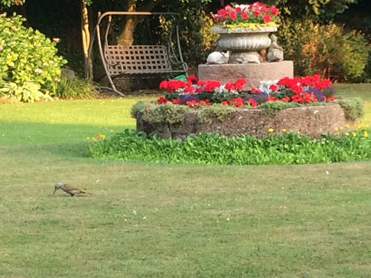 Little Manor Bed & Breakfast Cheltenham Bagian luar foto
